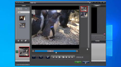Firewire MiniDV Video Capture PCI-E Card for Windows 11 / 10 Desktop PC.