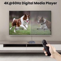 ByDiffer 4K HD Digital Media Player for USB Drive/Micro SD Card, 4K@60Hz Grey