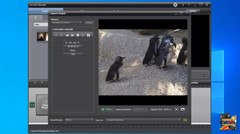 Firewire MiniDV Video Capture PCI-E Card for Windows 11 / 10 Desktop PC.