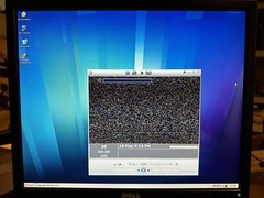 Pinnacle Systems PCTV 800i Rev 1.1 HD PCI Interface TV Tuner Card w/ Software